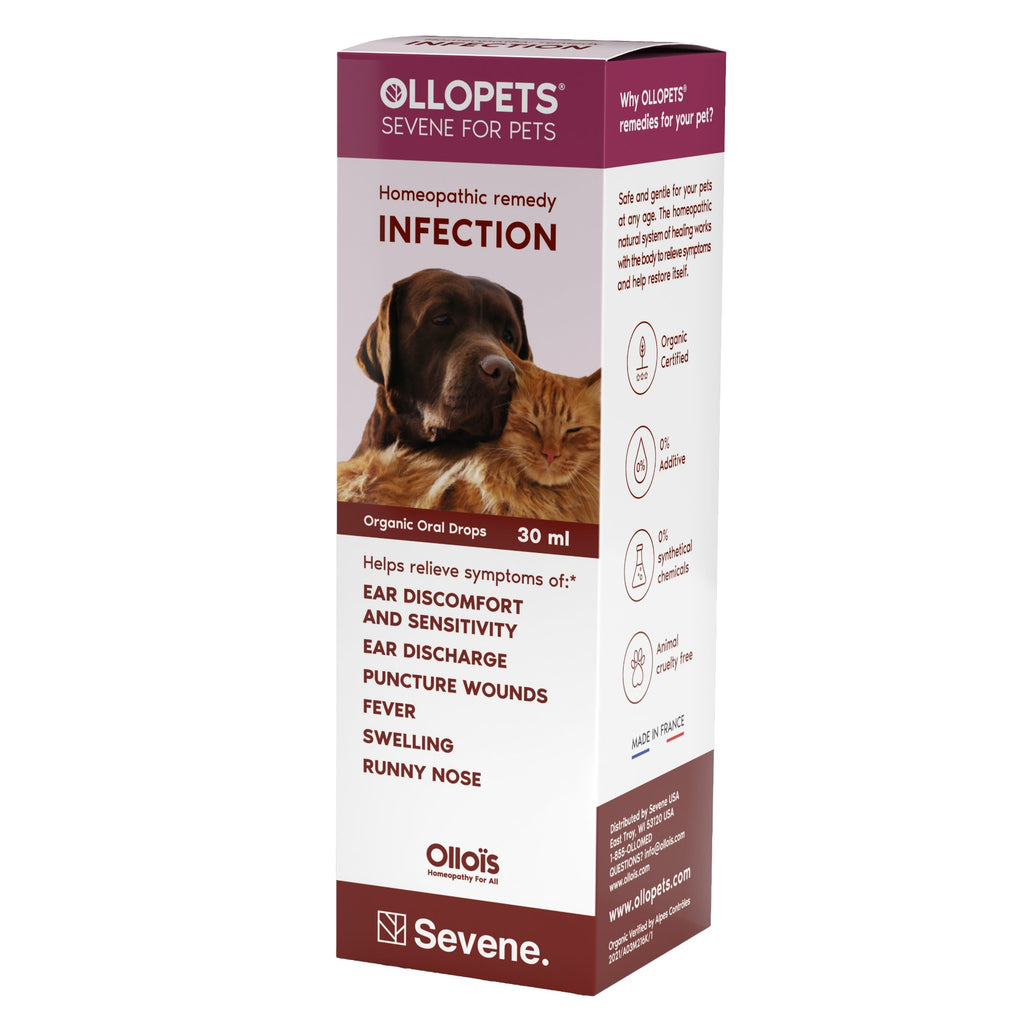 Ollopets Infection Support for Pets — 30 ml box