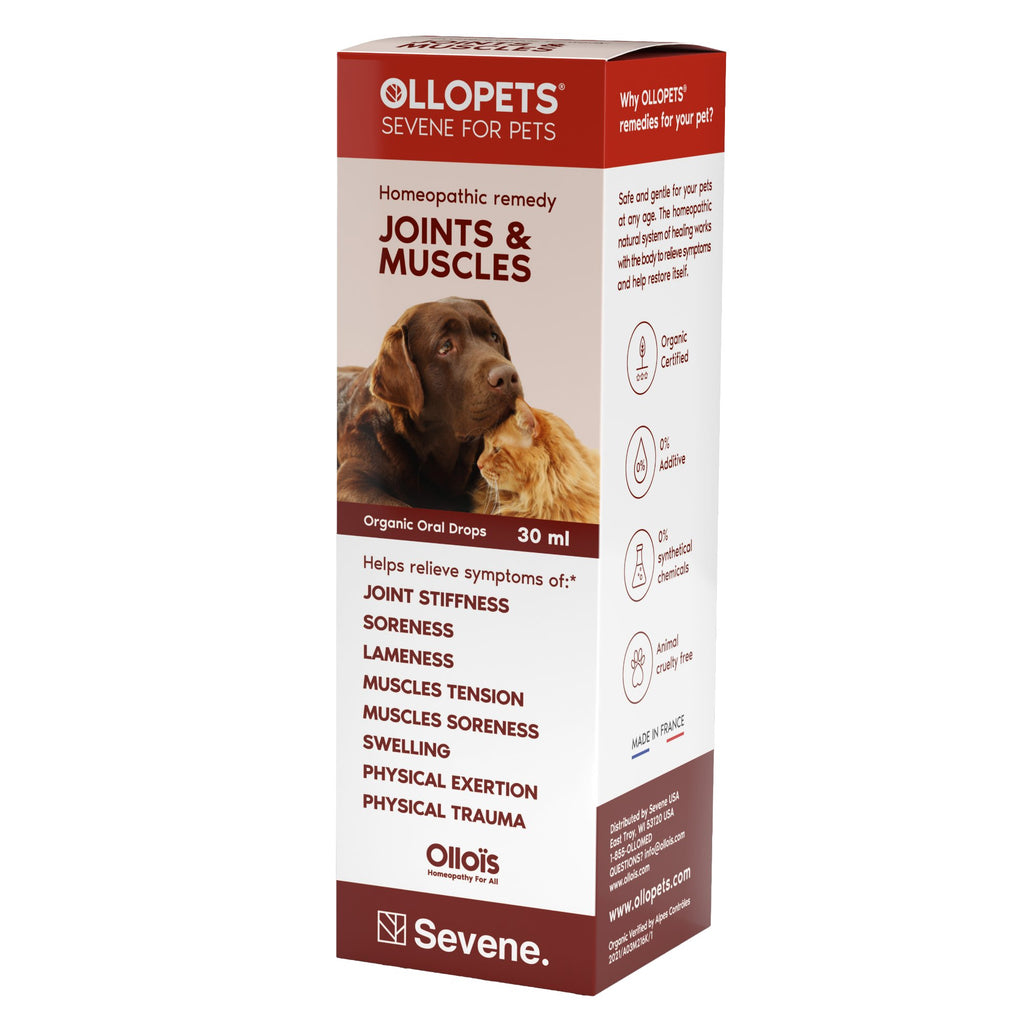 Ollopets Joint & Muscle Support for Dogs & Cats — 30 ml box