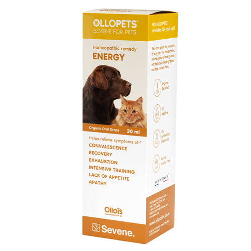 Ollopets Energy Support for Pets — 30 ml box