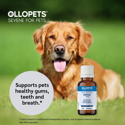 Ollopets Dental Care for Dogs & Cats — a pet with the product