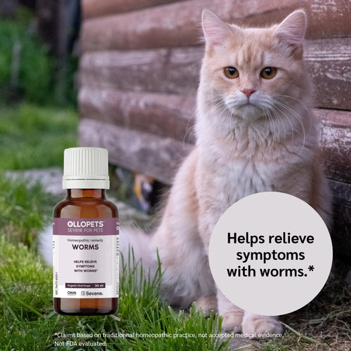 Ollopets Worms Support for Pets — a pet with the product