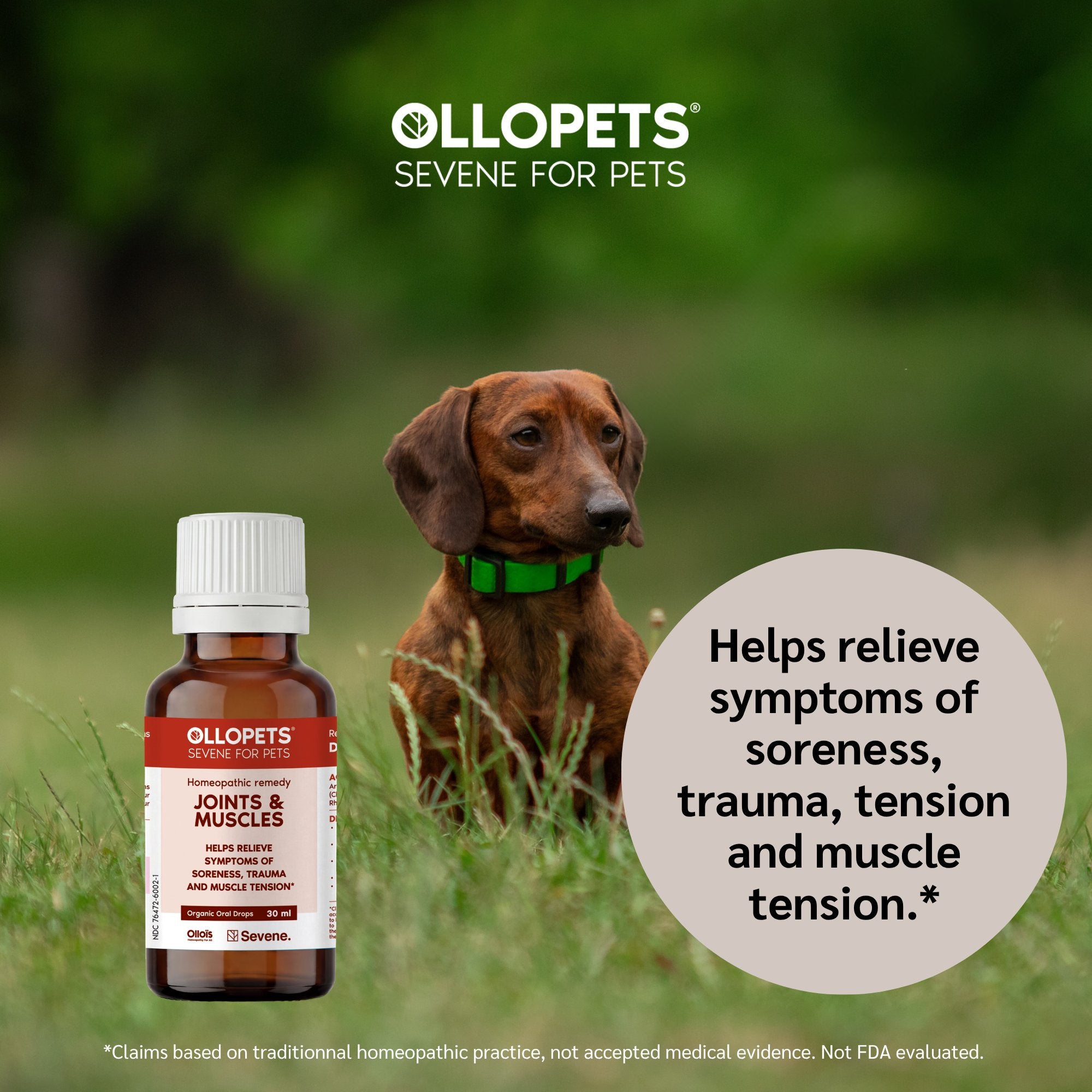 Ollopets Joint & Muscle Support for Dogs & Cats — a pet with the product