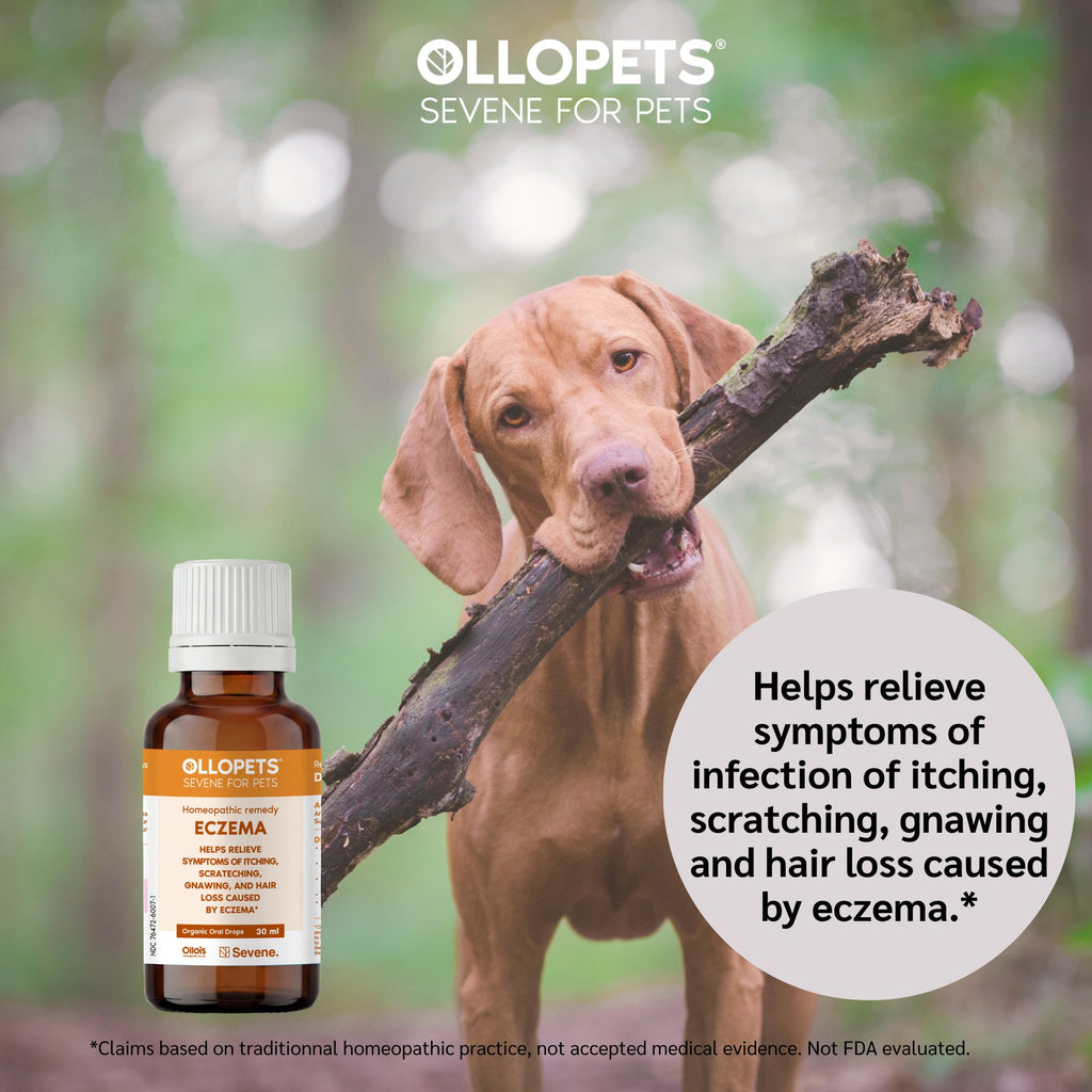 Ollopets Eczema Relief for Dogs & Cats — a pet with the product