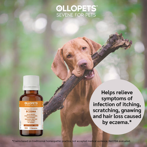 Ollopets Eczema Relief for Dogs & Cats — a pet with the product