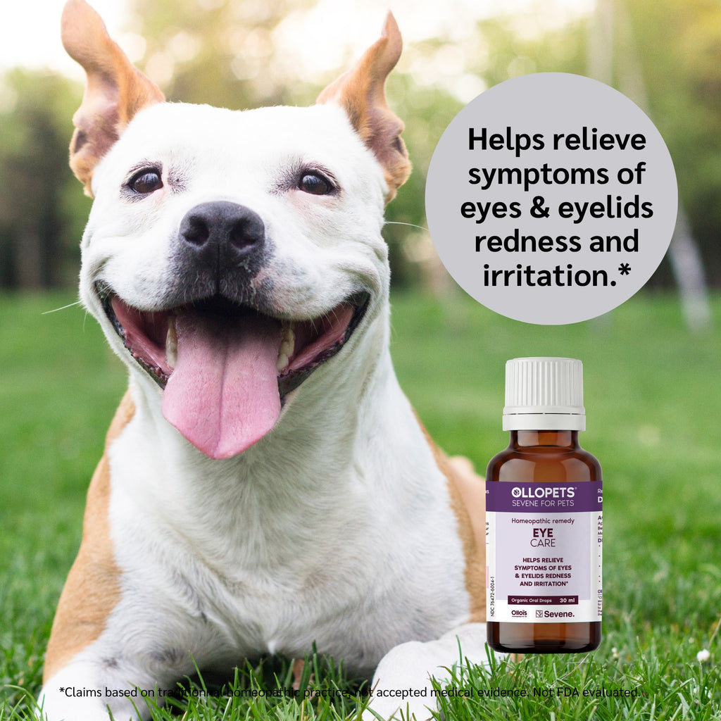 Ollopets Eye Care for Pets — a pet with the product