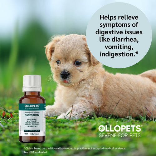 Ollopets Digestive Support for Pets — a pet with the product