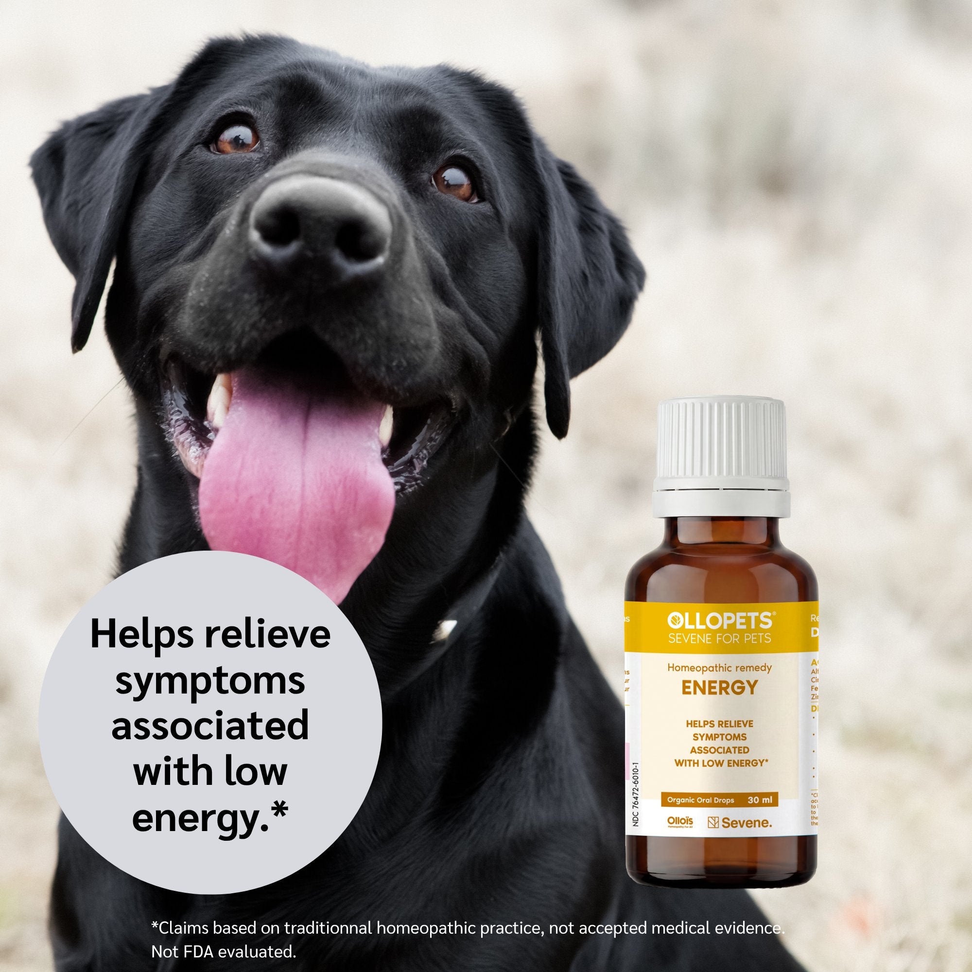 Ollopets Energy Support for Pets — a pet with the product
