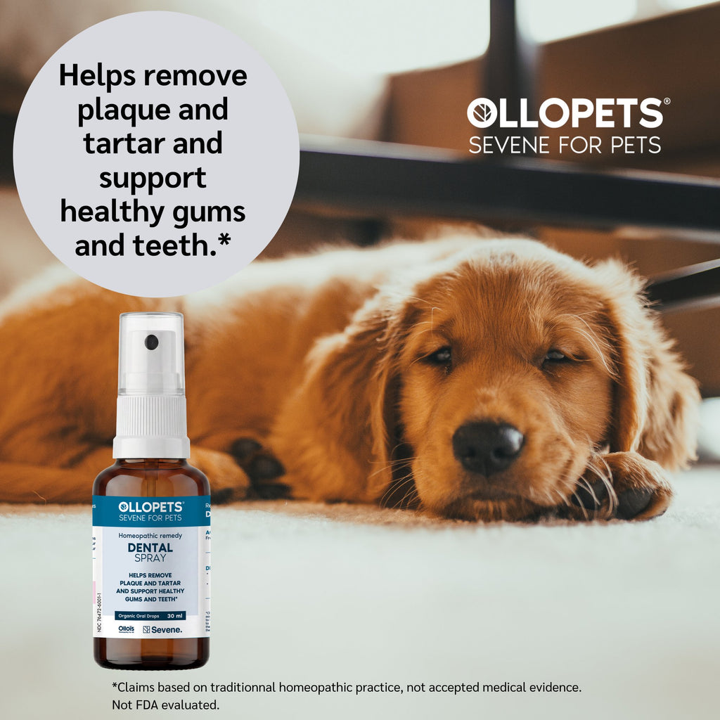 Ollopets Dental Spray for Dogs & Cats — a pet with the product