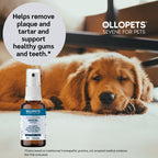 Ollopets Dental Spray for Dogs & Cats — a pet with the product