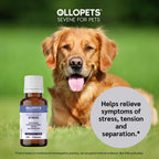 Ollopets Calming Drops for Dogs & Cats — a pet with the product