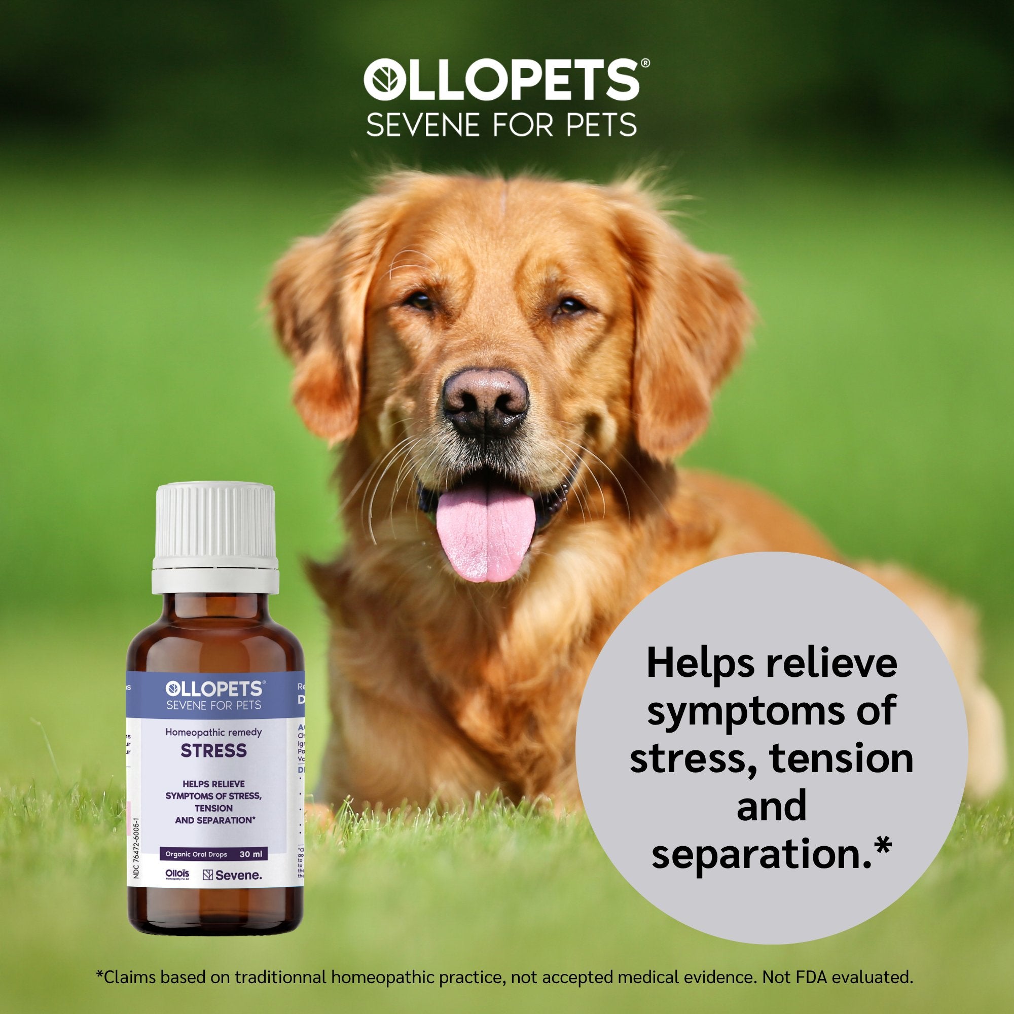 Ollopets Calming Drops for Dogs & Cats — a pet with the product
