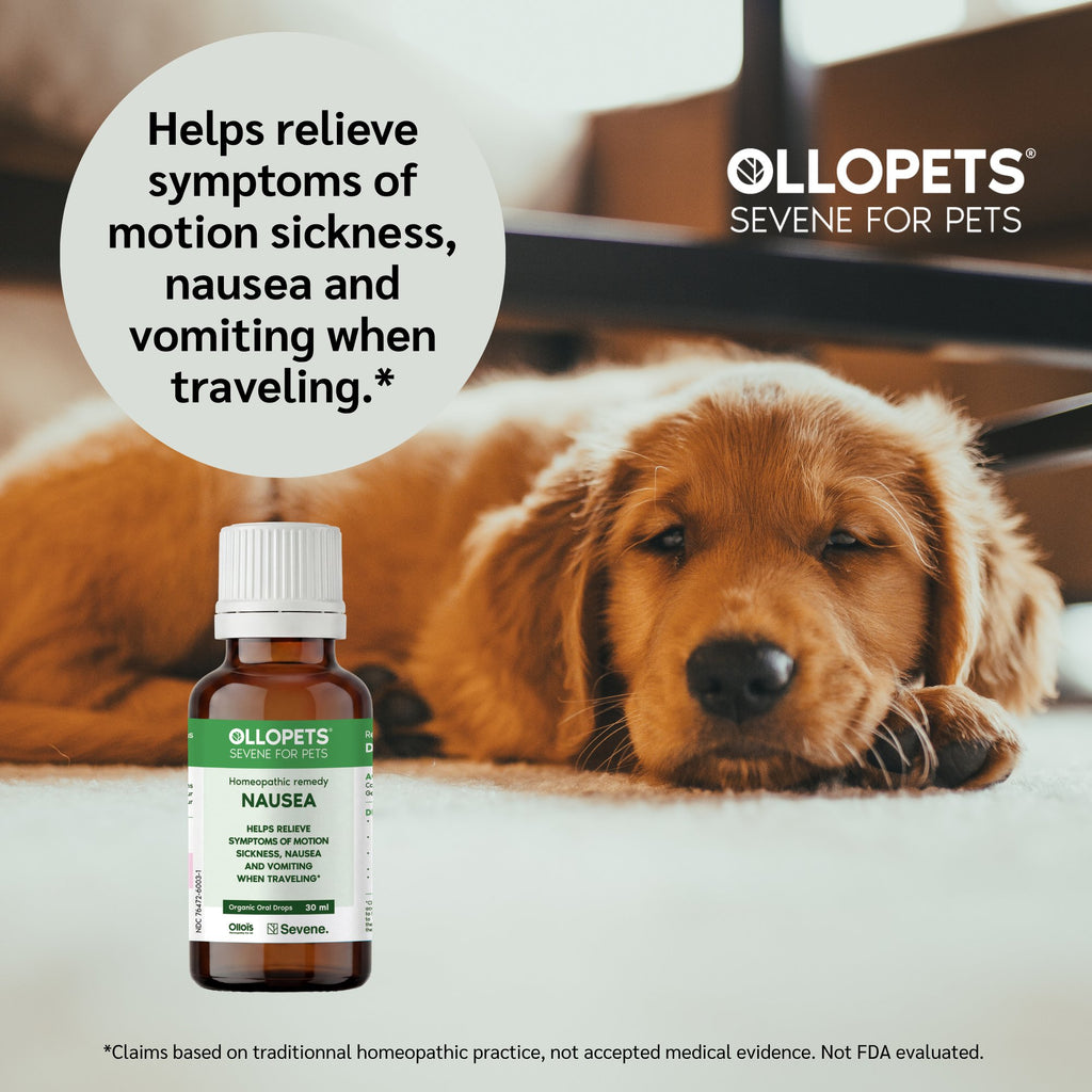 Ollopets Nausea Relief for Pets — a pet with the product