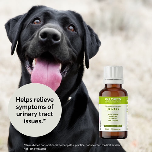 Ollopets Urinary Support for Dogs & Cats — a pet with the product