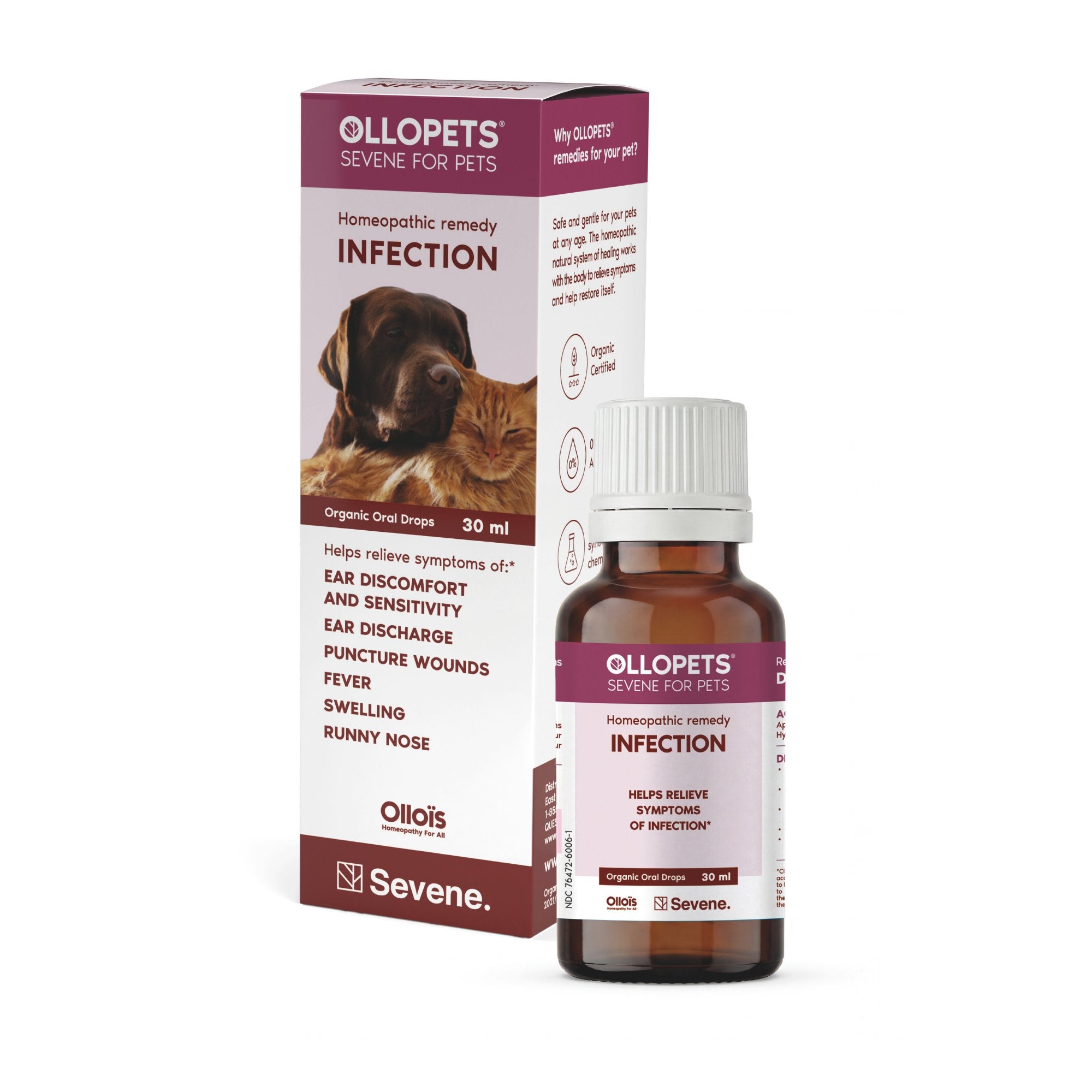 Ollopets Infection Support for Pets — box and bottle