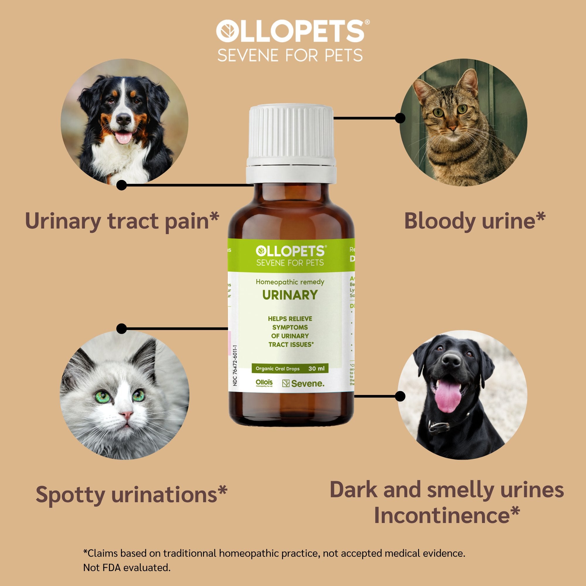 Ollopets Urinary Support for Dogs & Cats — product view