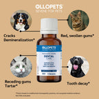 Ollopets Dental Care for Dogs & Cats — symptoms this remedy supports