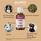 Ollopets Infection Support for Pets — symptoms this remedy supports