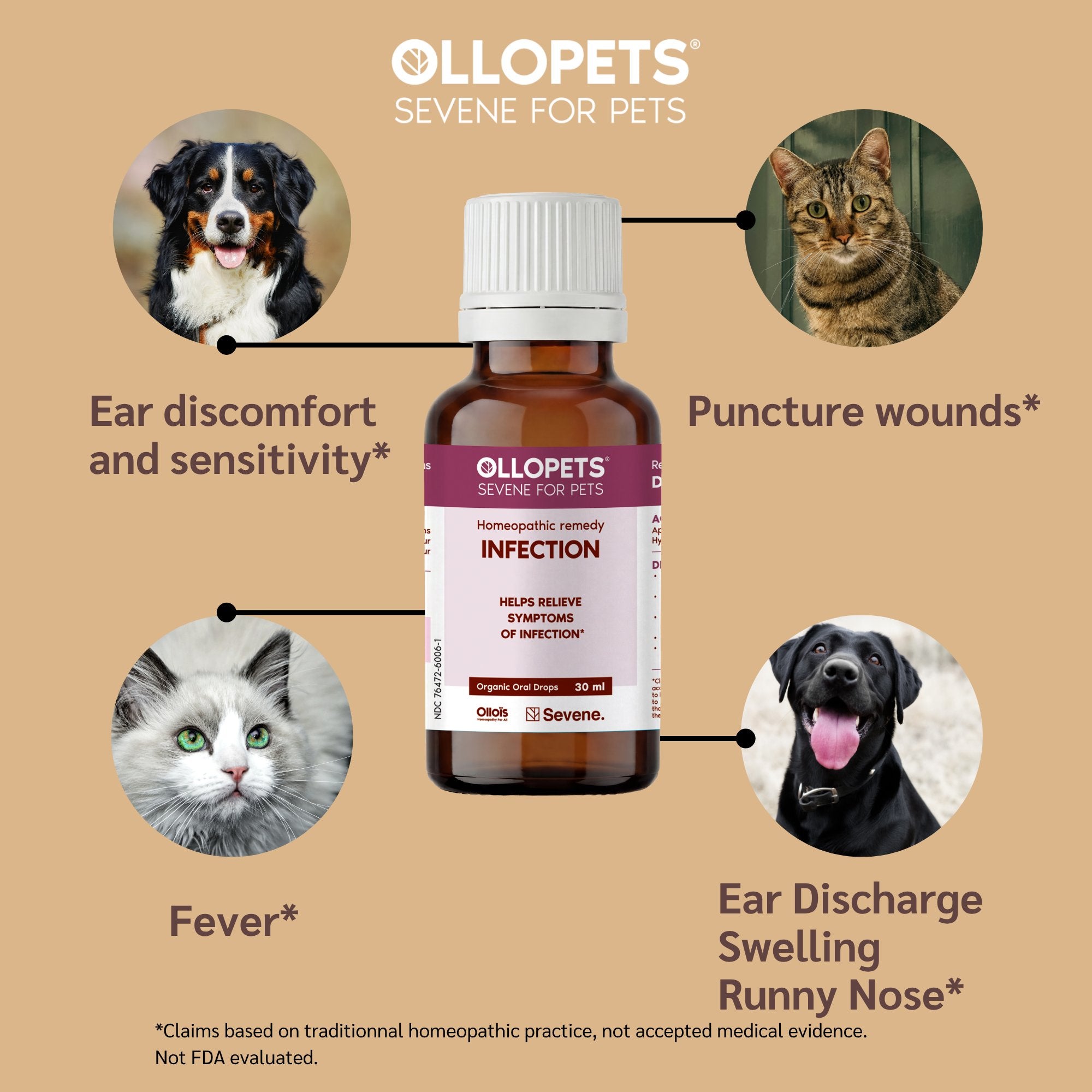 Ollopets Infection Support for Pets — symptoms this remedy supports