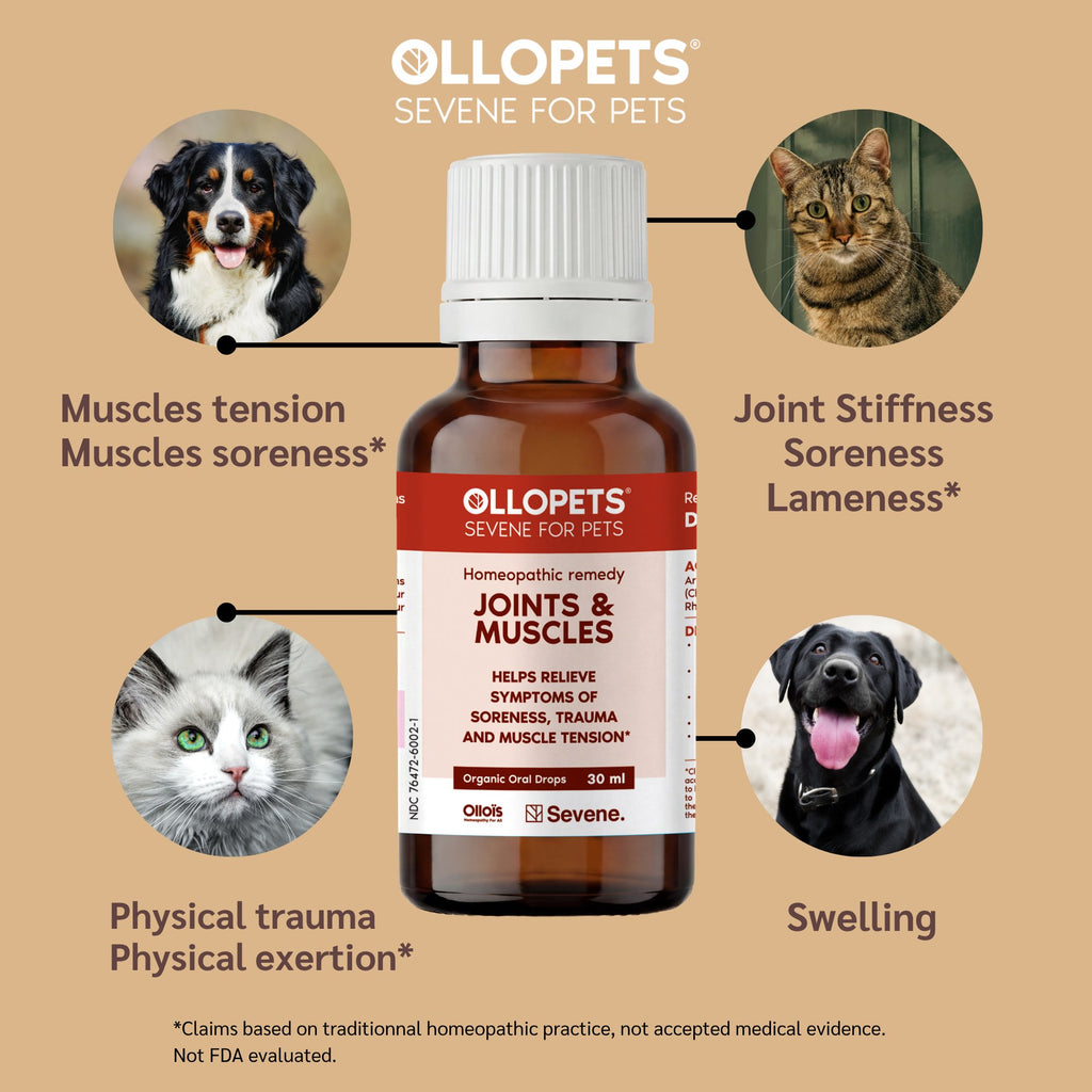 Ollopets Joint & Muscle Support for Dogs & Cats — symptoms this remedy supports