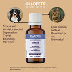 Ollopets Calming Drops for Dogs & Cats — symptoms this remedy supports