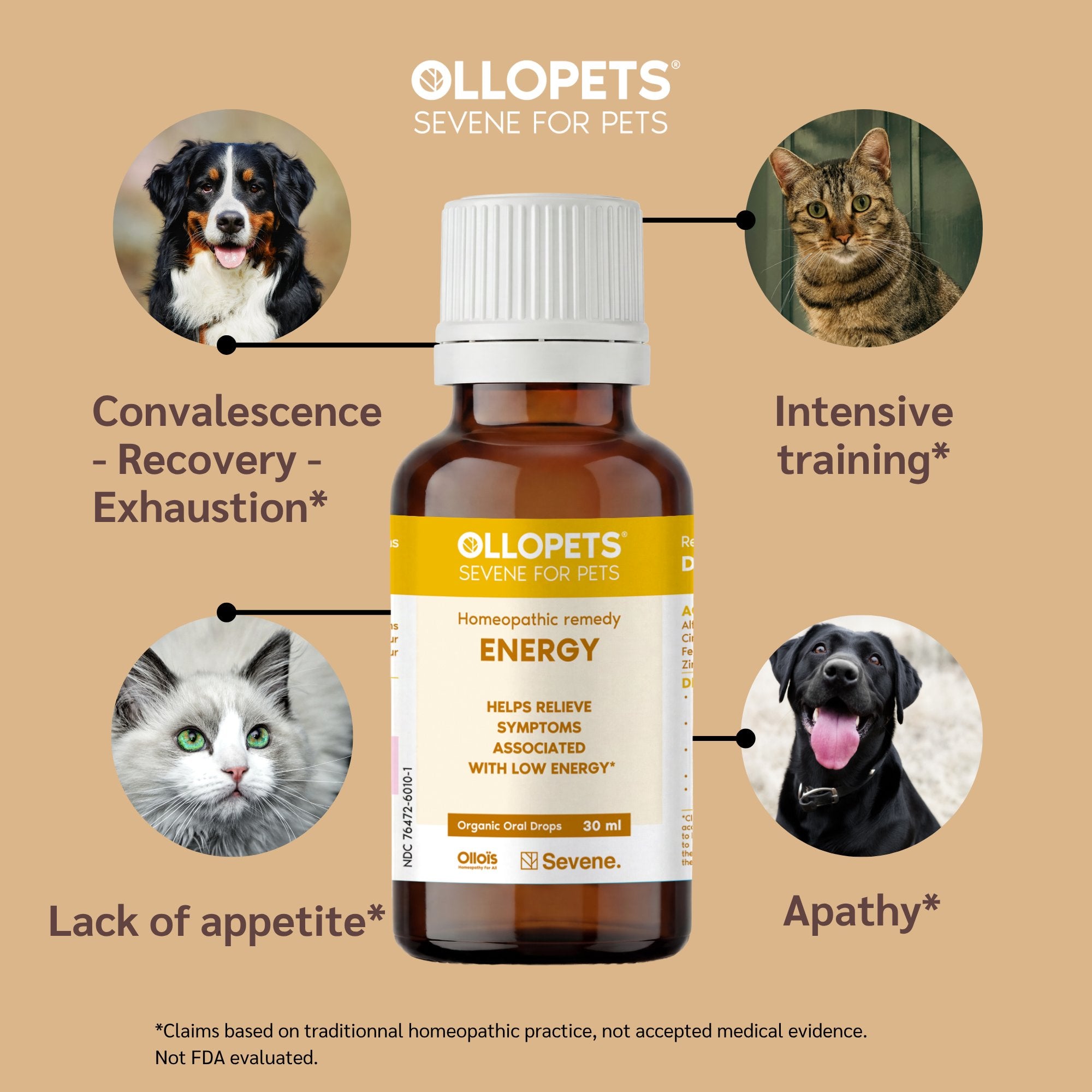 Ollopets Energy Support for Pets — symptoms this remedy supports