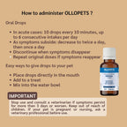 Ollopets Dental Care for Dogs & Cats — how to administer