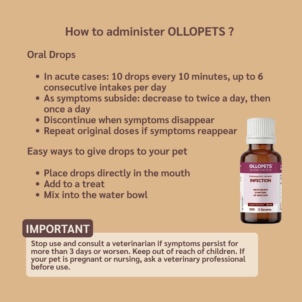Ollopets Infection Support for Pets — how to administer