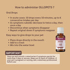 Ollopets Infection Support for Pets — how to administer